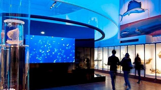 Afbeeldingsresultaat voor musee oceanographique monaco