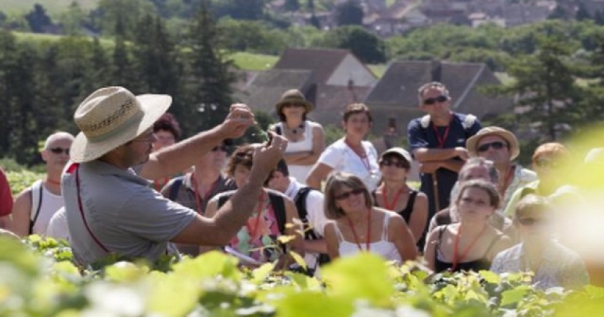 Les trois visites guidées à faire en Bourgogne : la sélection de Guides France